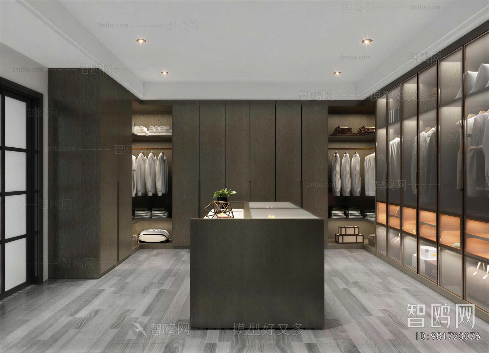Modern Clothes Storage Area