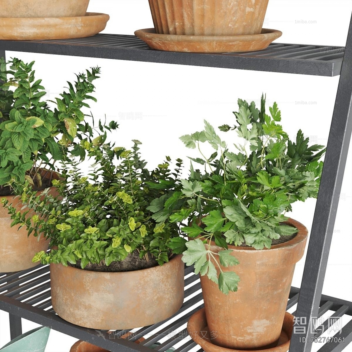 Modern Flower Rack