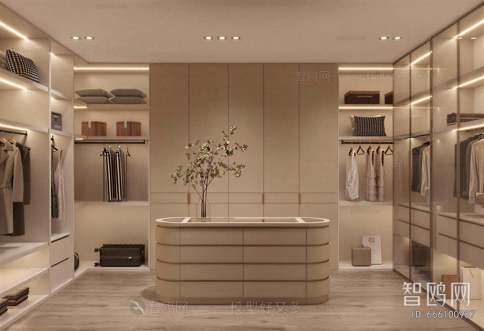 Modern Clothes Storage Area