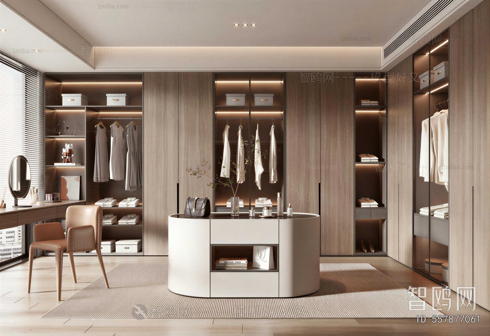 Modern Clothes Storage Area