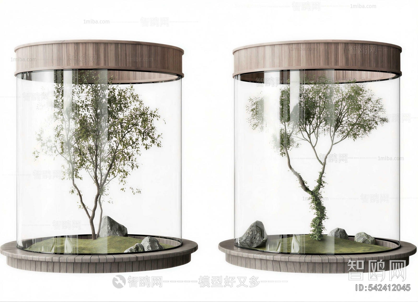Modern Plant Landscaping