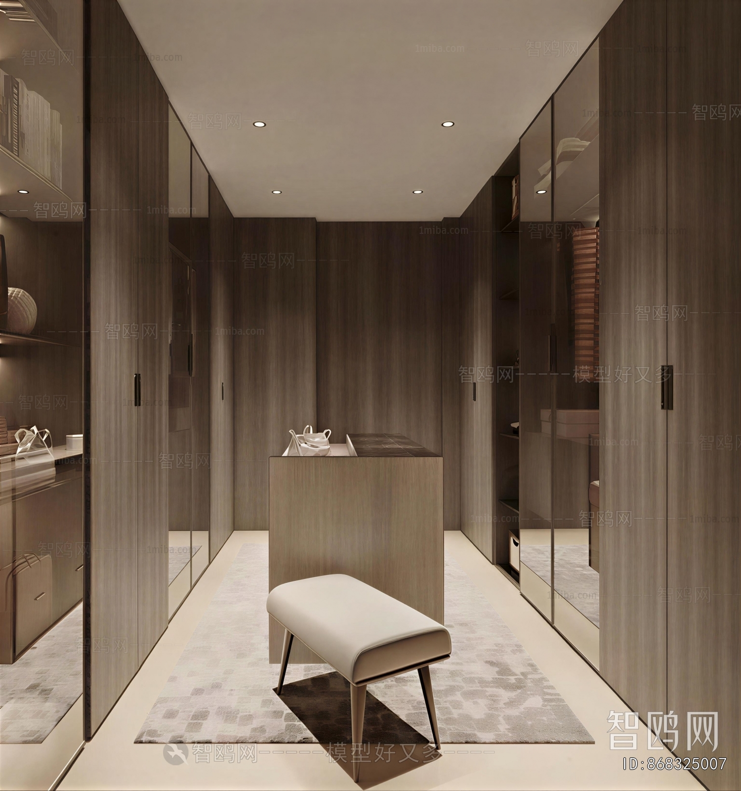 Modern Clothes Storage Area