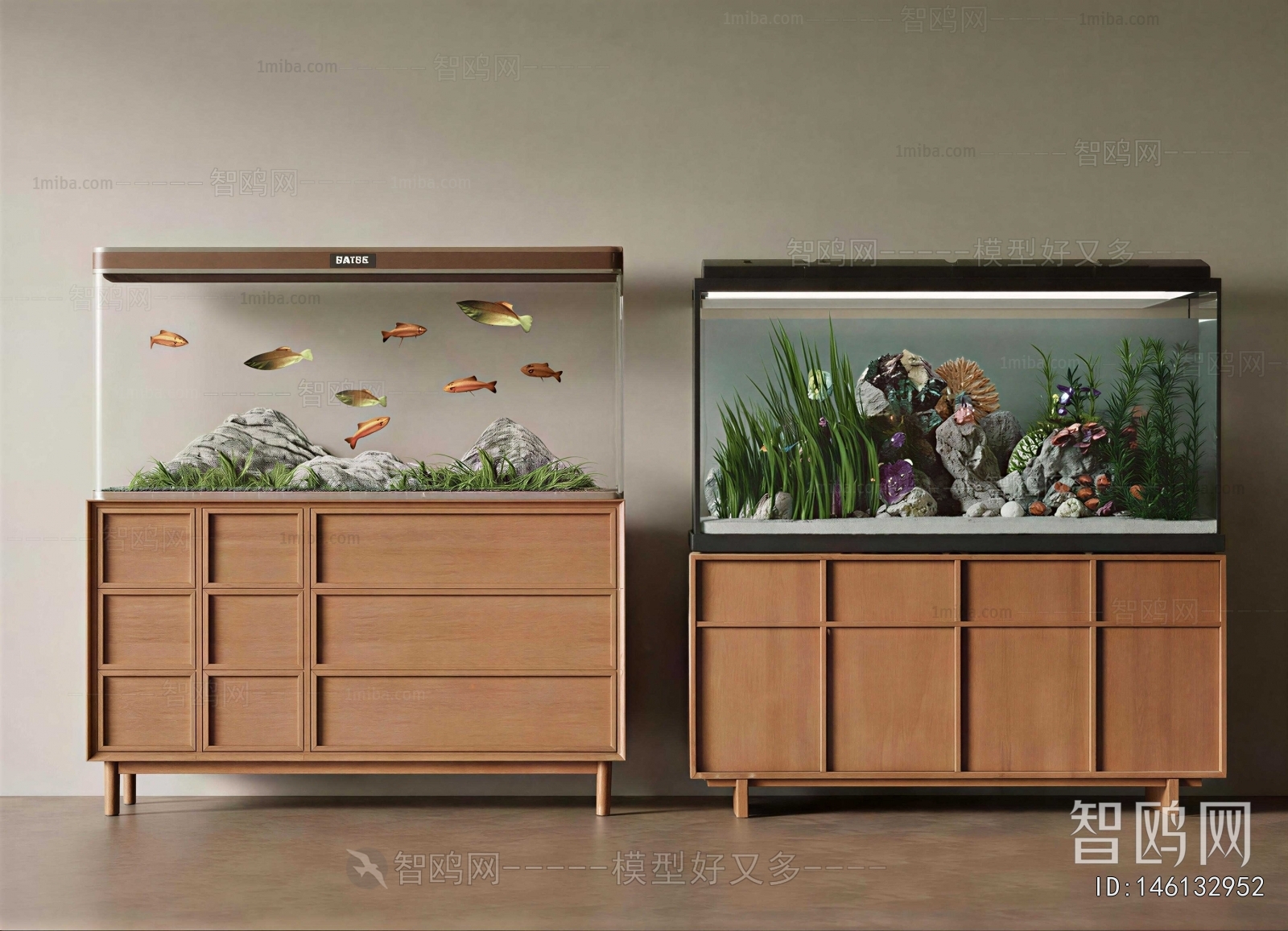 Modern Fish Tank
