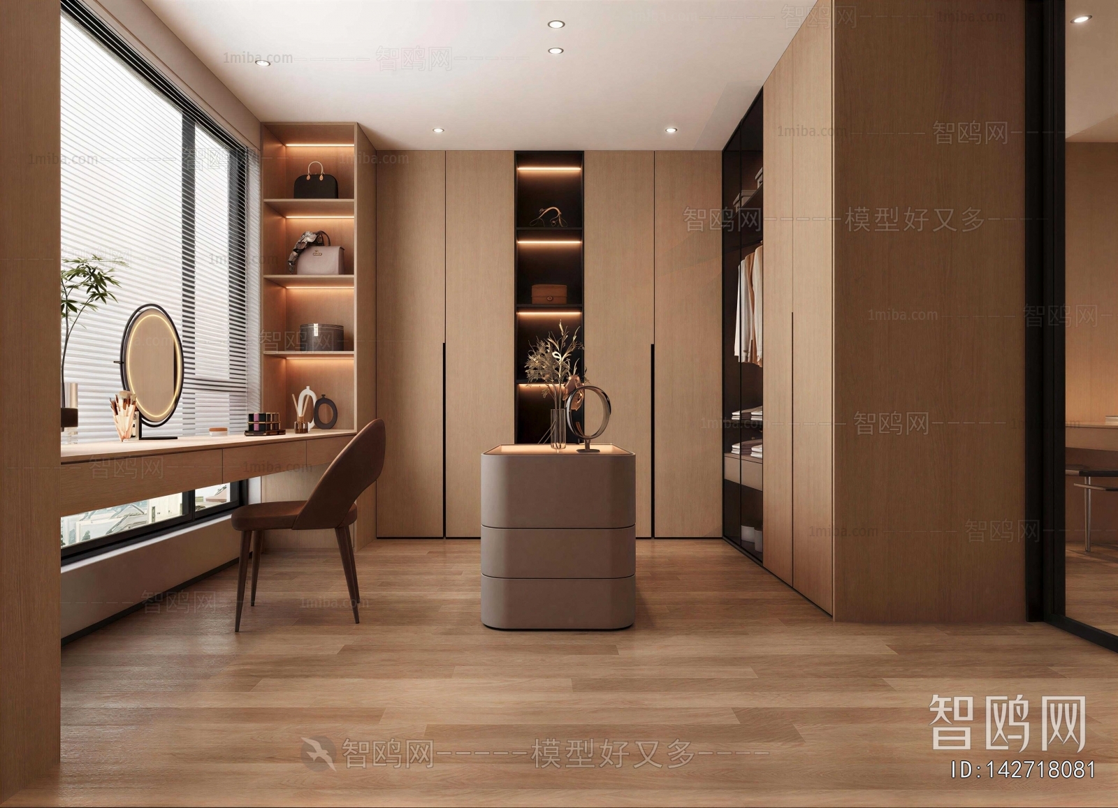 Modern Clothes Storage Area