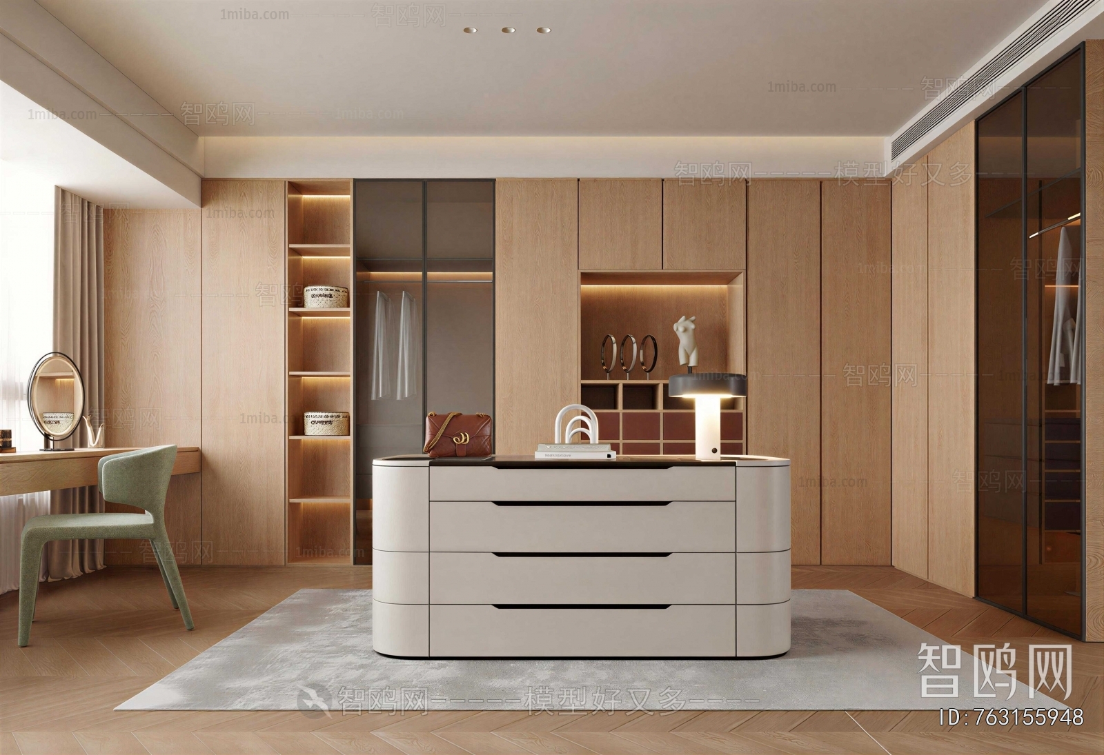 Modern Clothes Storage Area