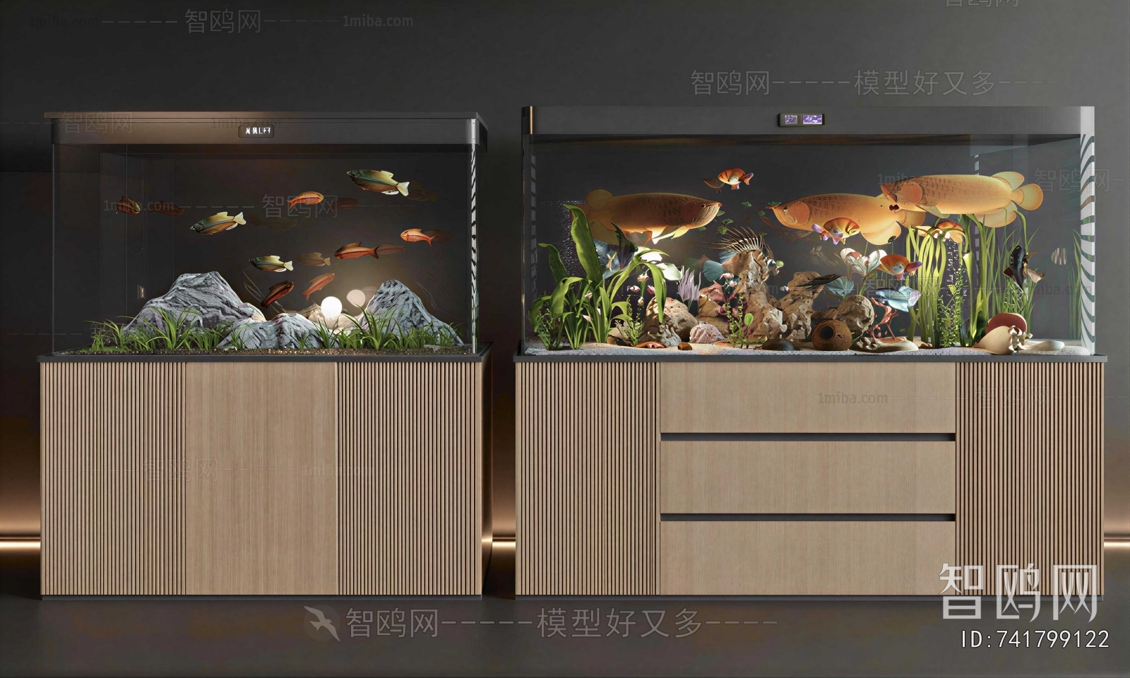 Modern Fish Tank