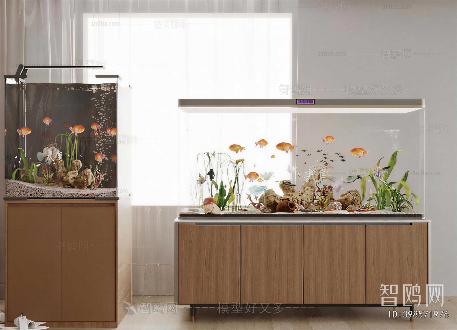 Modern Fish Tank