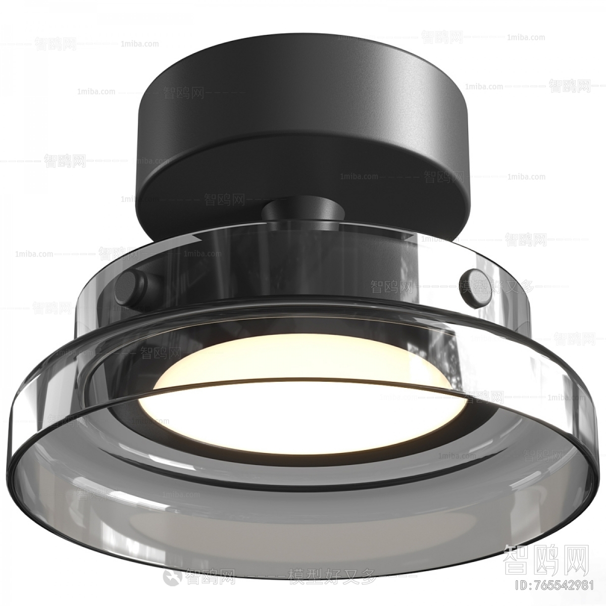 Modern Ceiling Ceiling Lamp
