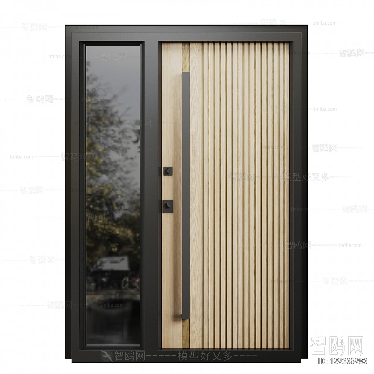 Modern Entrance Door