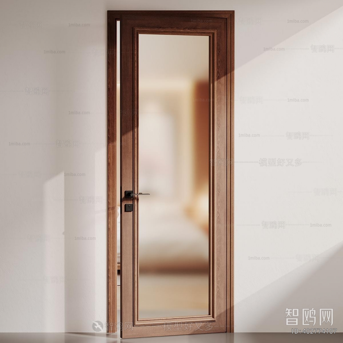 Modern Single Door