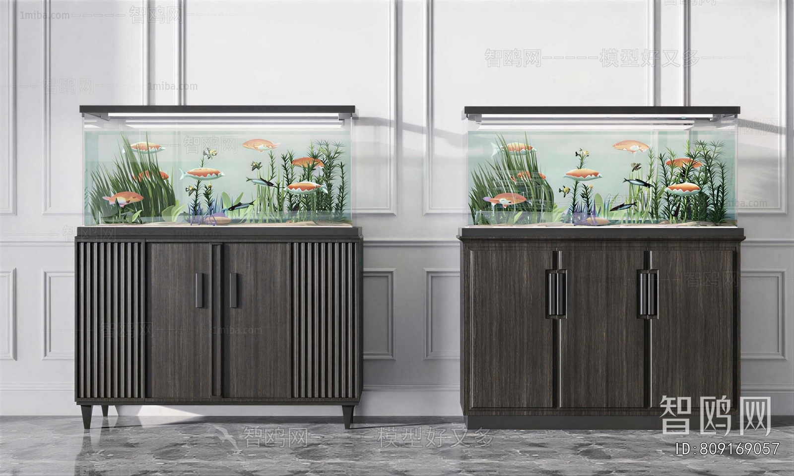 Modern Fish Tank