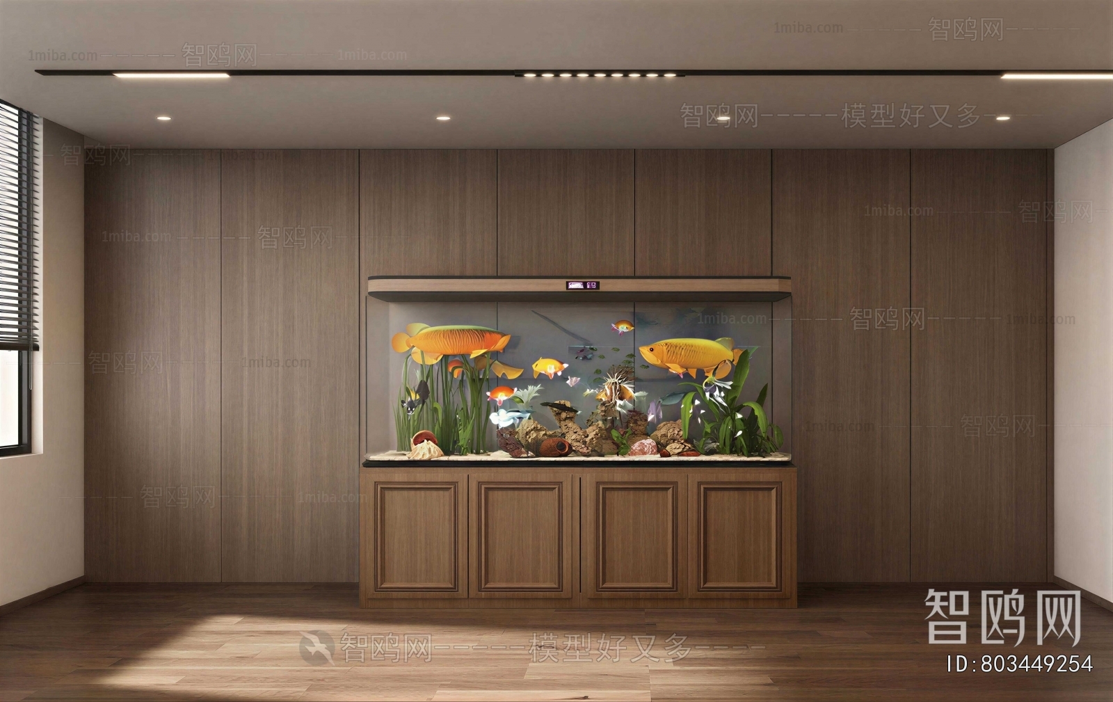 Modern Fish Tank
