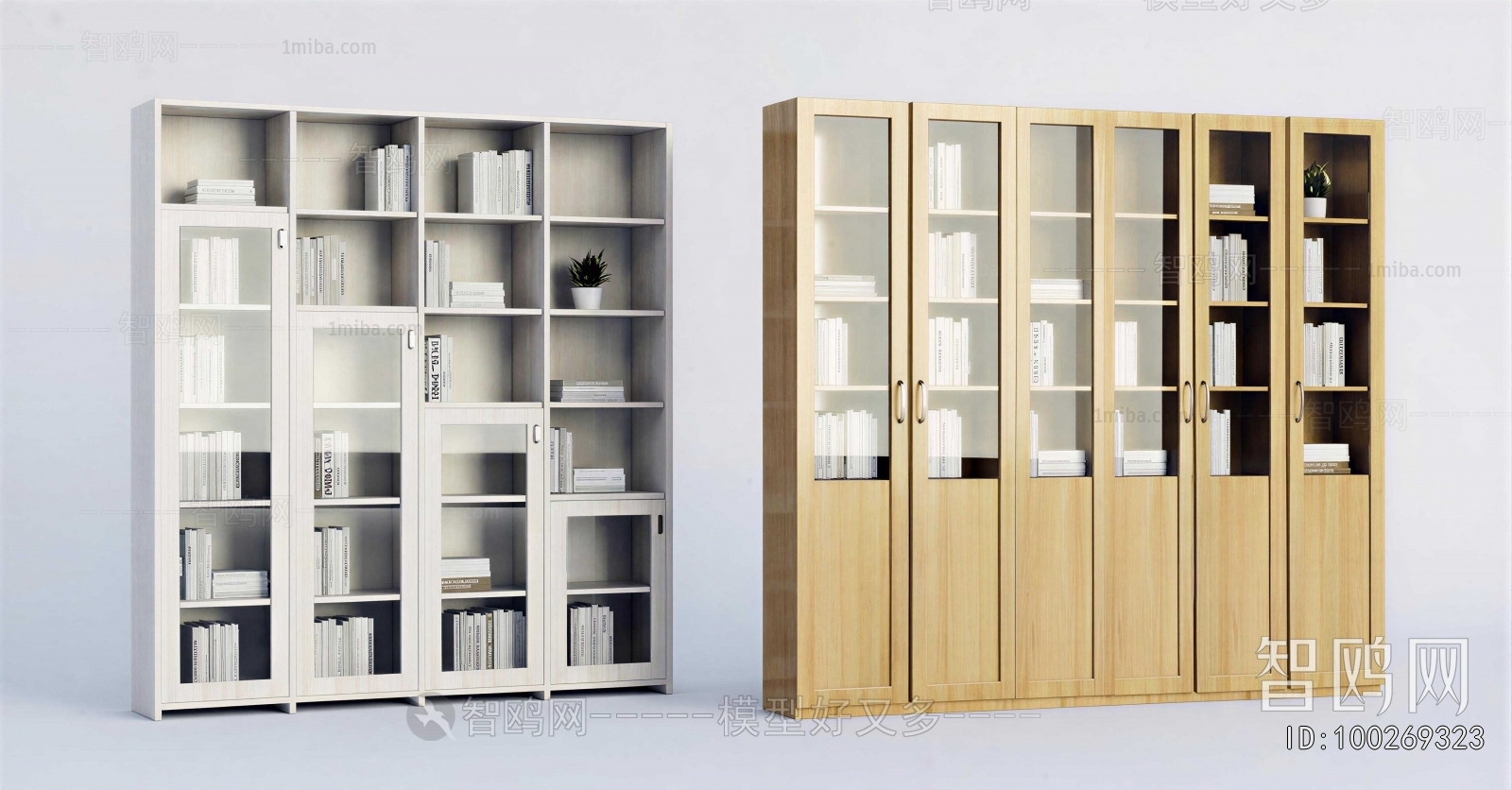Modern Bookcase