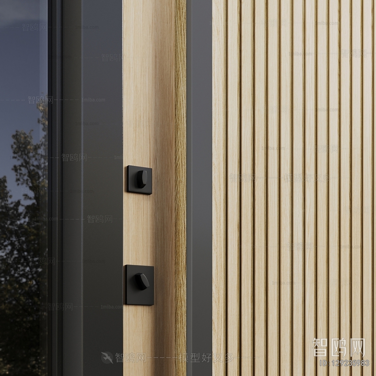 Modern Entrance Door