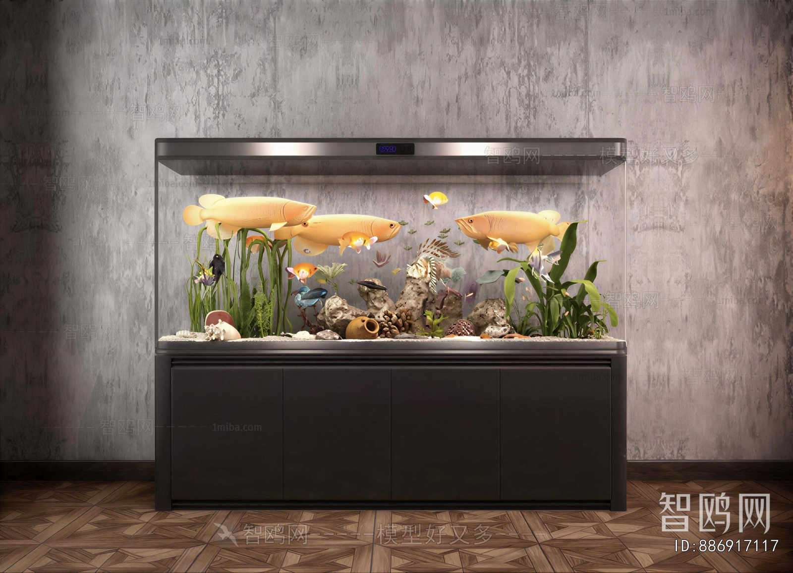 Modern Fish Tank