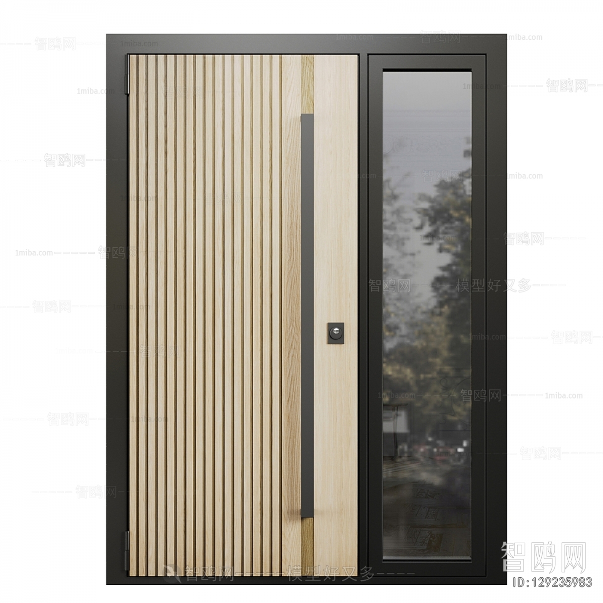 Modern Entrance Door