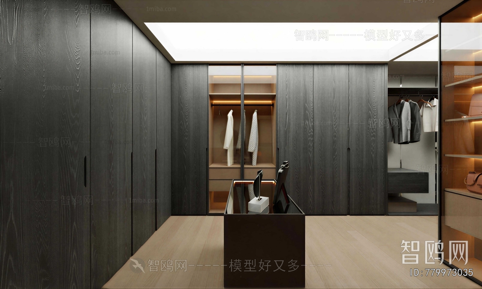 Modern Clothes Storage Area