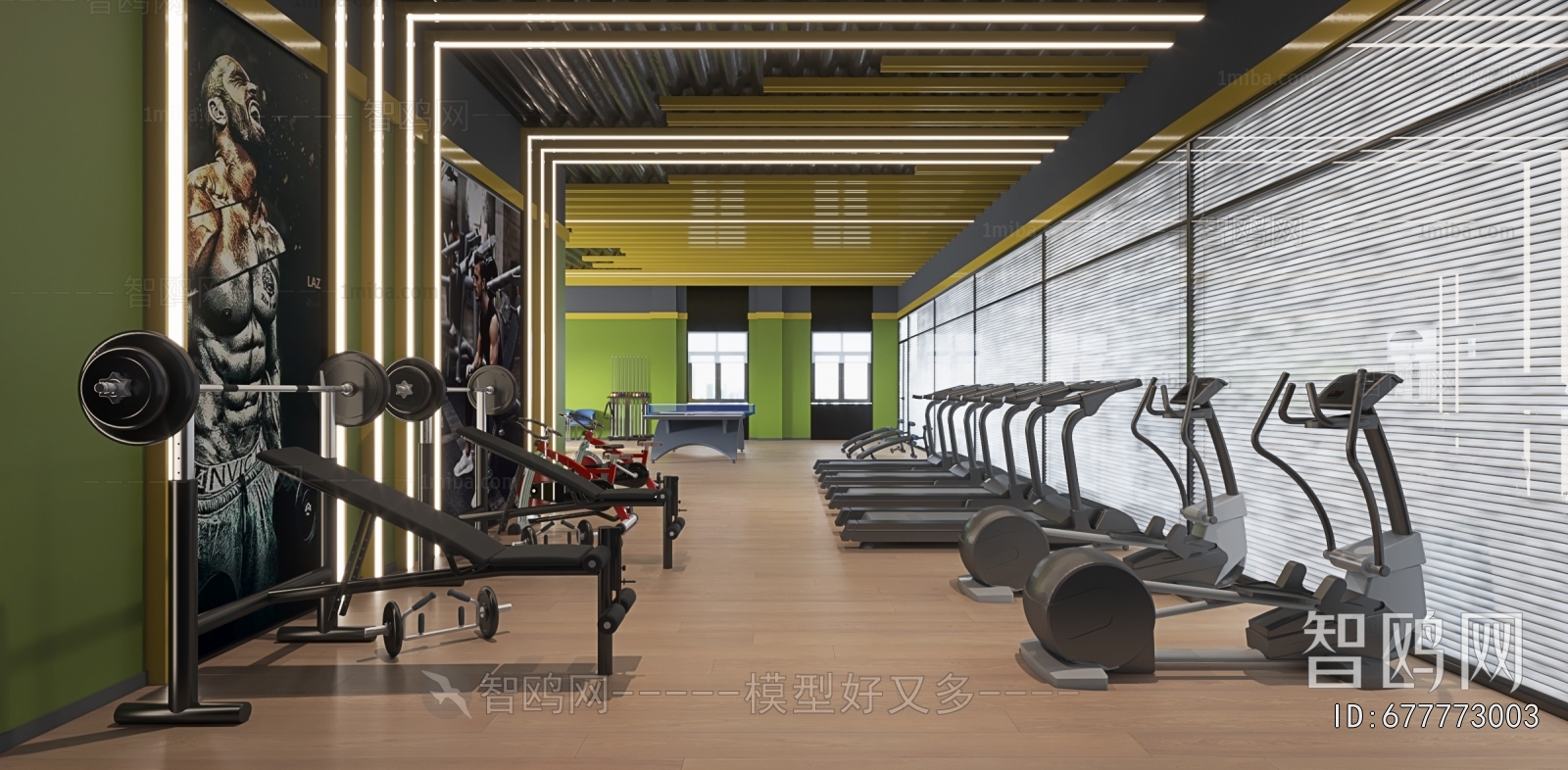 Modern Gym