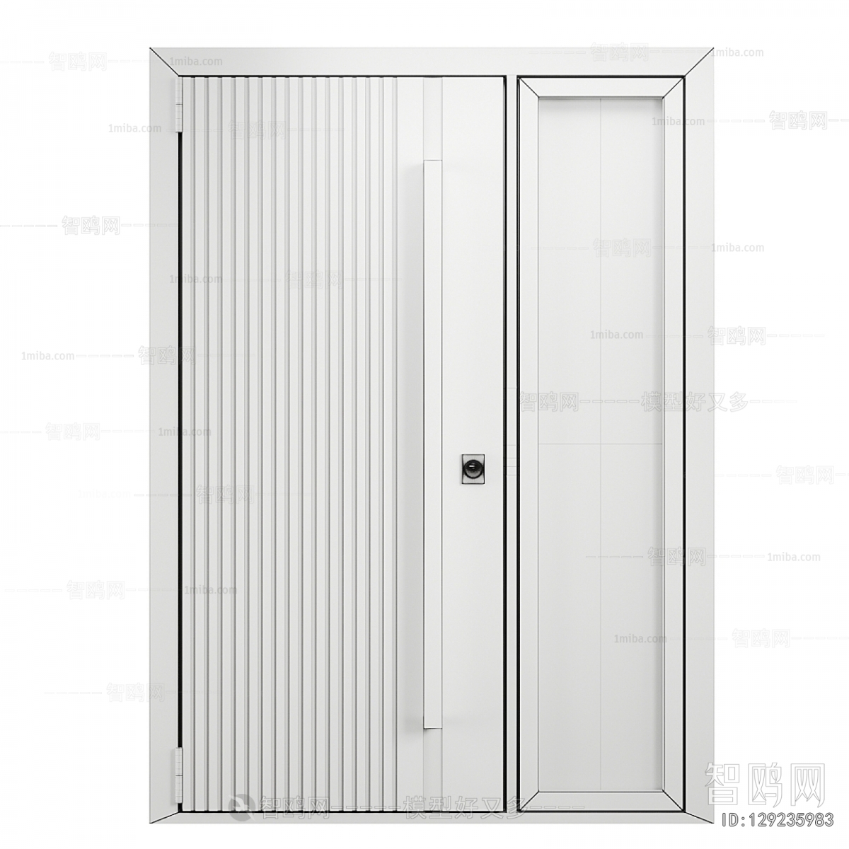 Modern Entrance Door