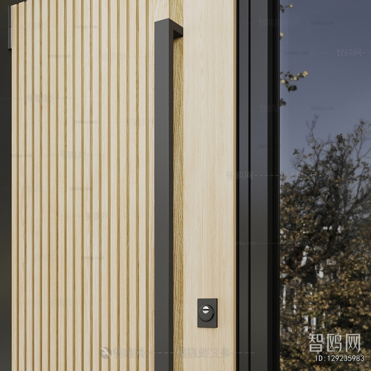 Modern Entrance Door