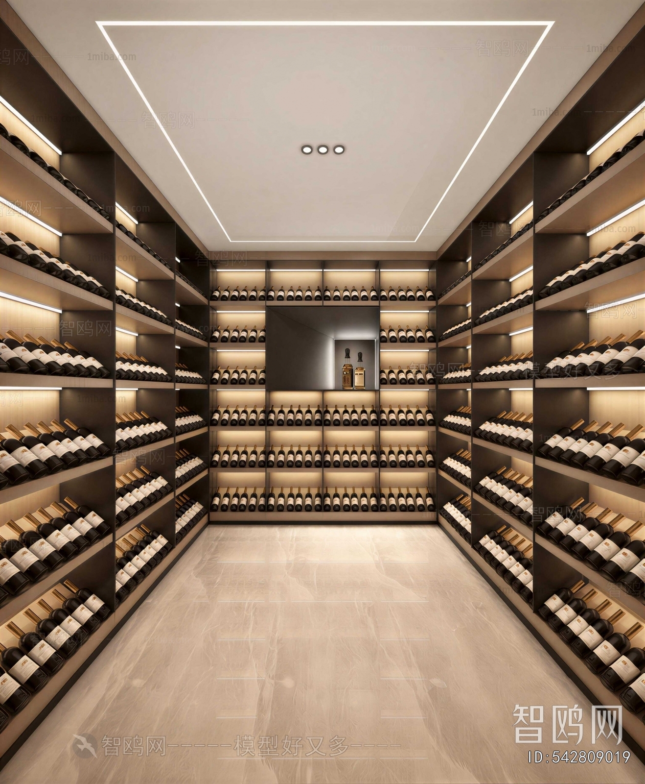 Modern Wine Cellar/Wine Tasting Room
