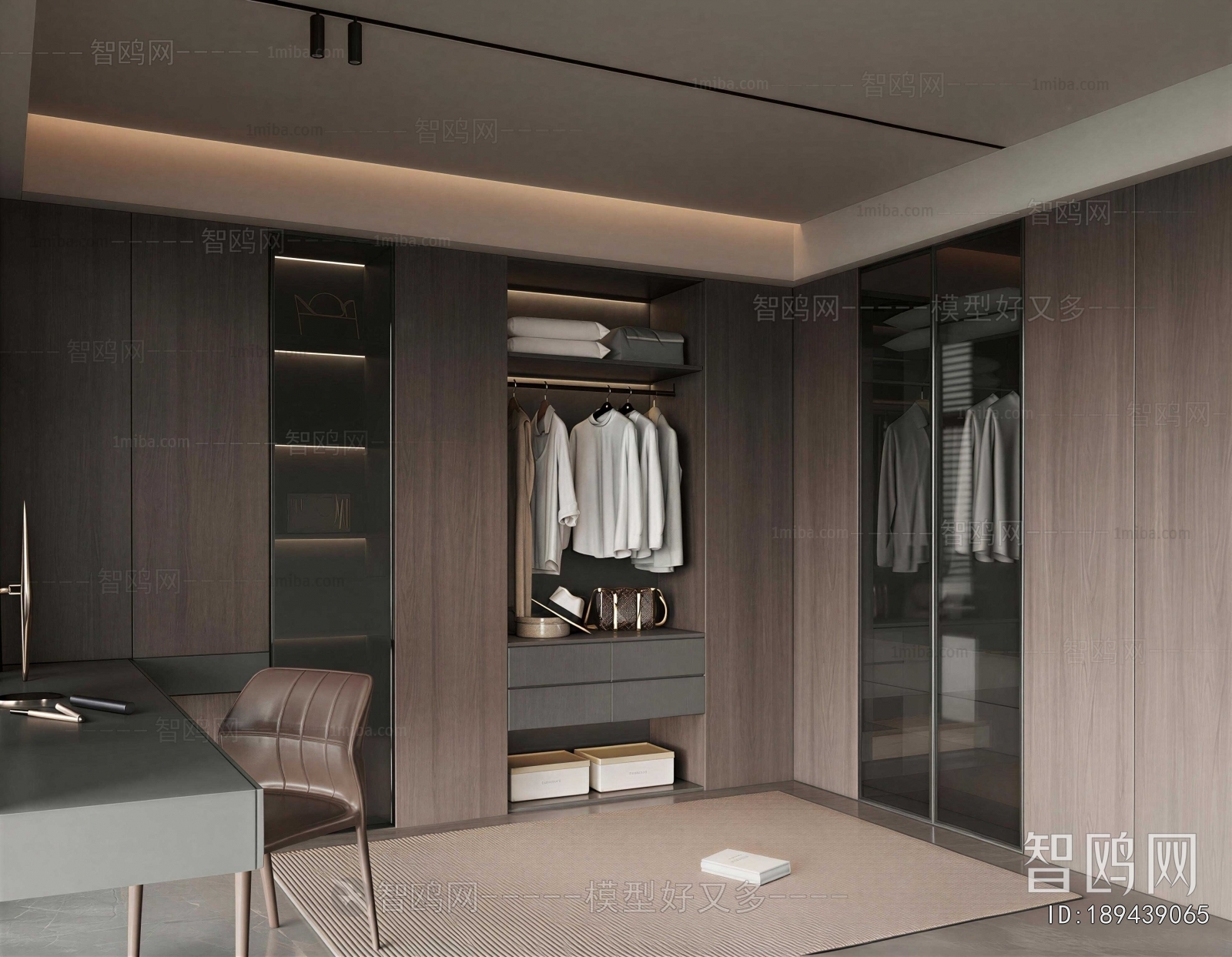 Modern Clothes Storage Area