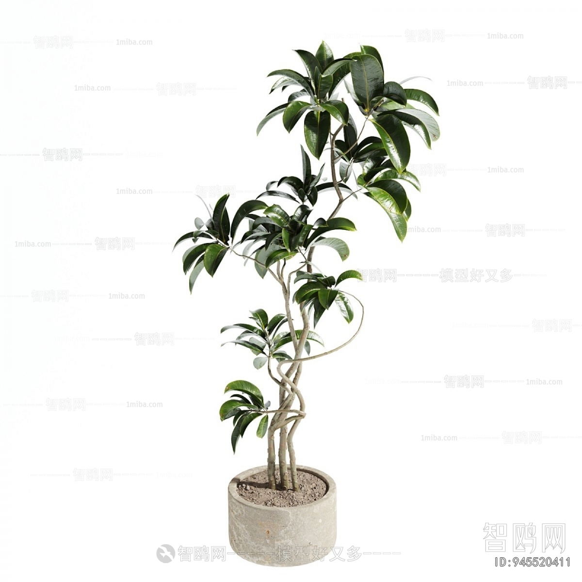 Modern Ground Green Plant Potted Plants