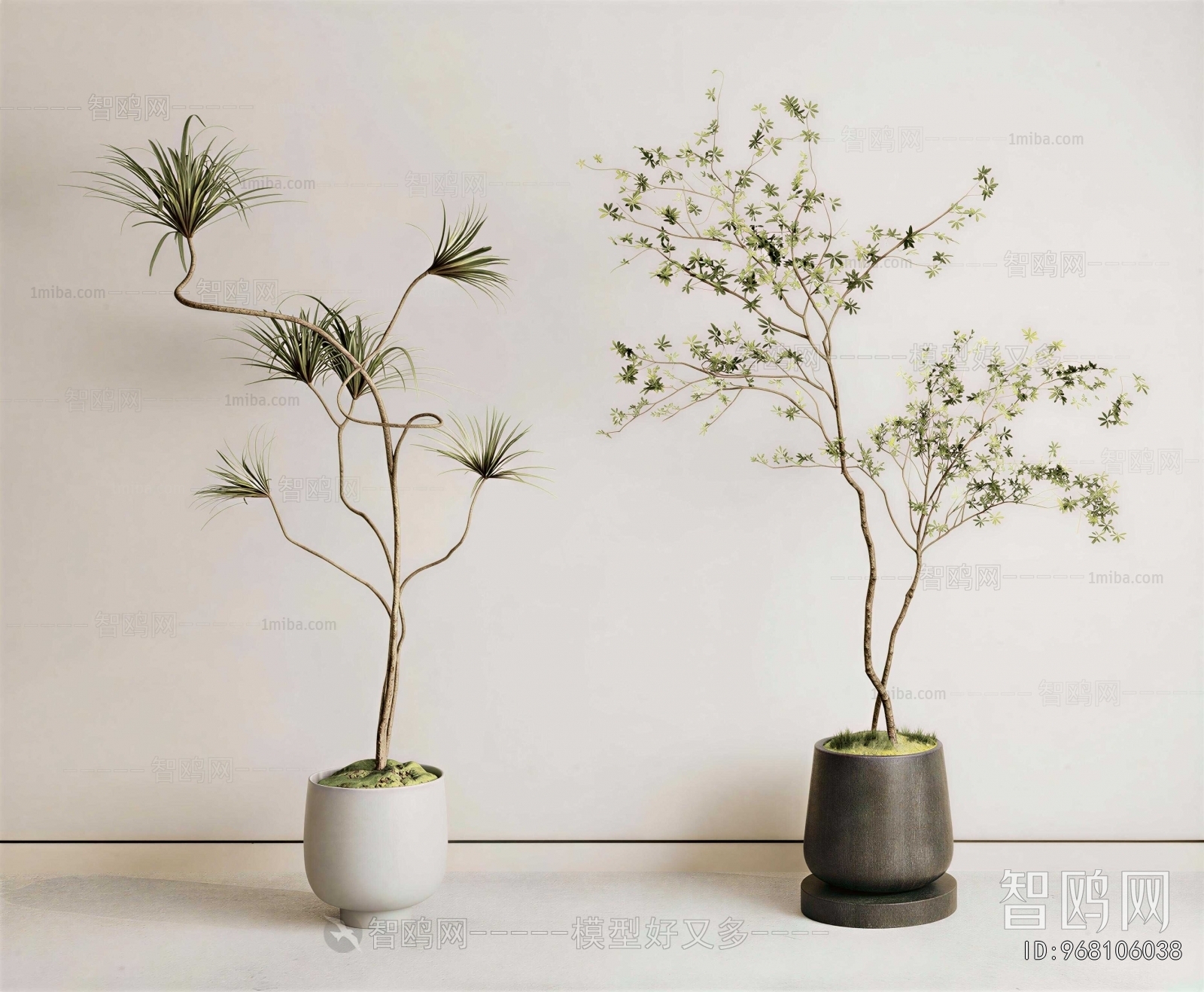 Modern Ground Green Plant Potted Plants