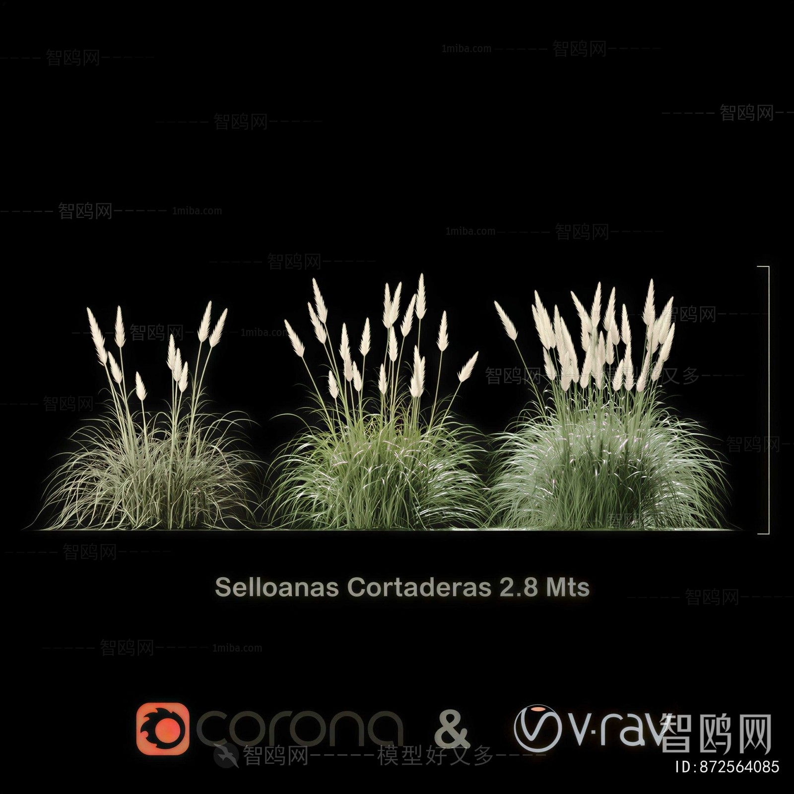Modern The Grass