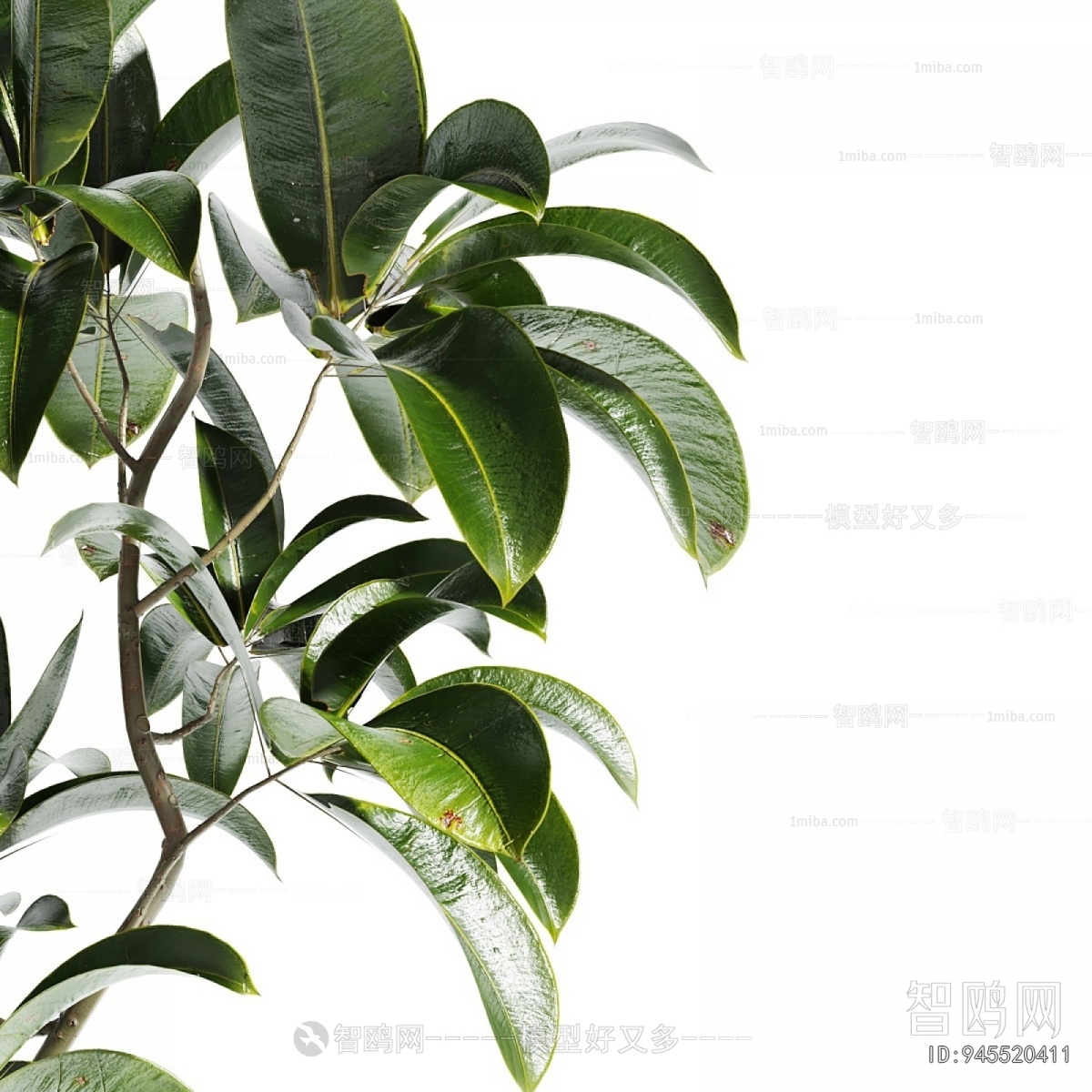 Modern Ground Green Plant Potted Plants