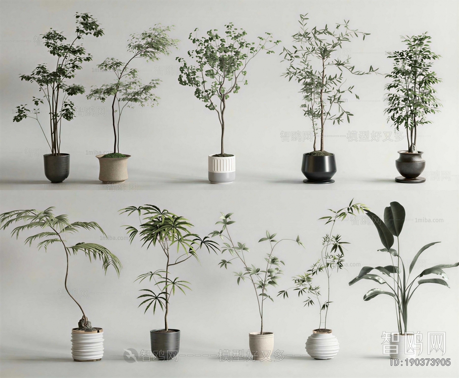 Modern Ground Green Plant Potted Plants