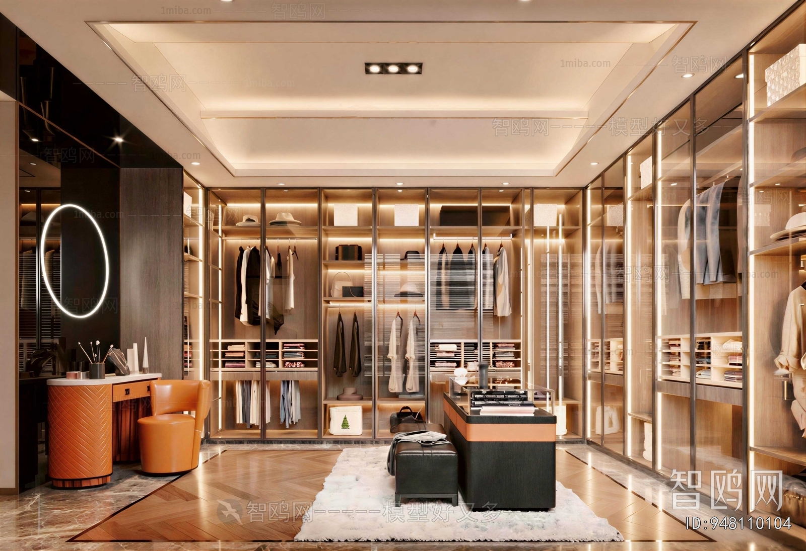 Modern Clothes Storage Area