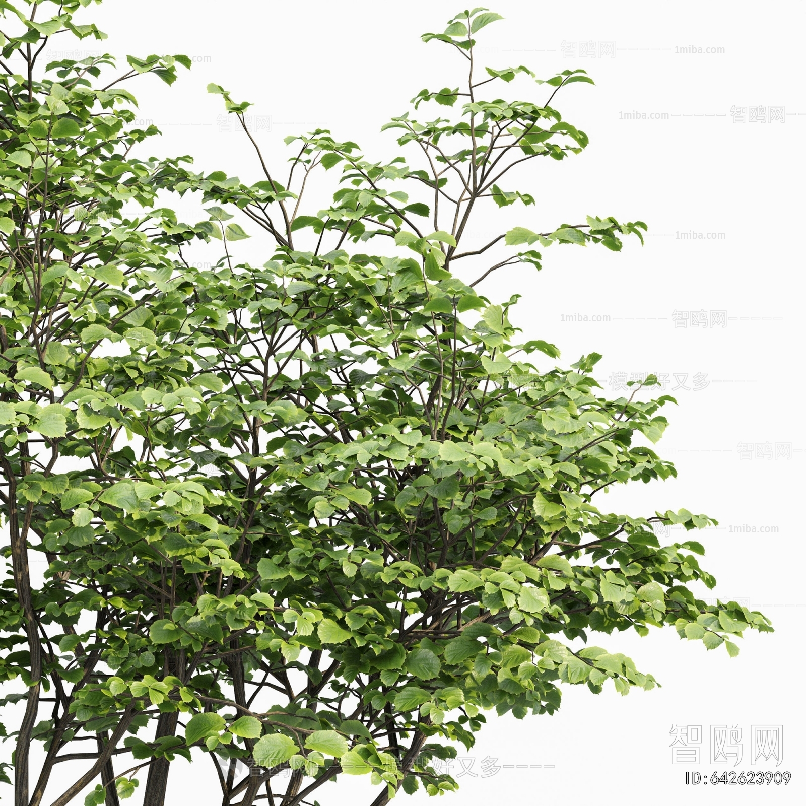 Modern Tree