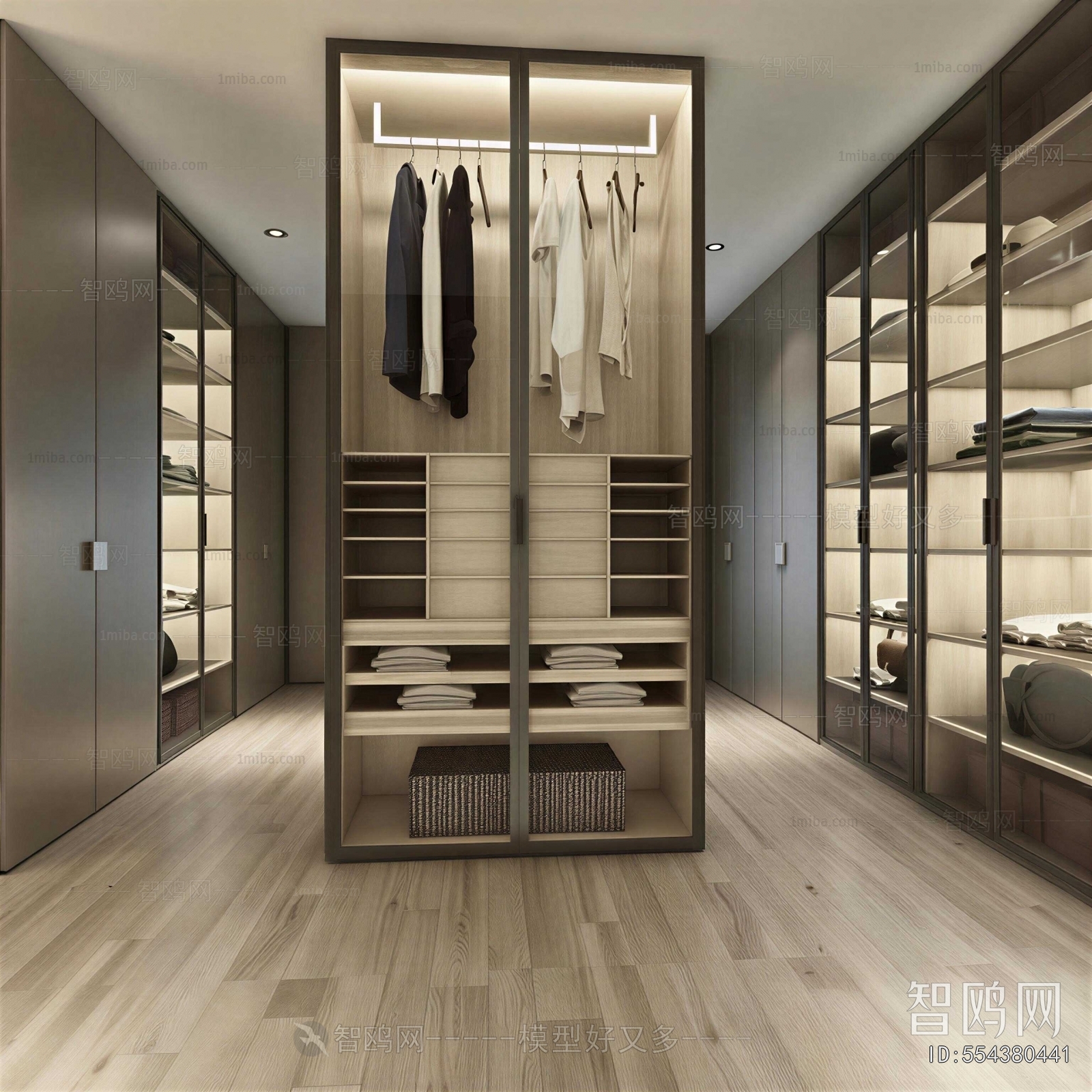 Modern Clothes Storage Area