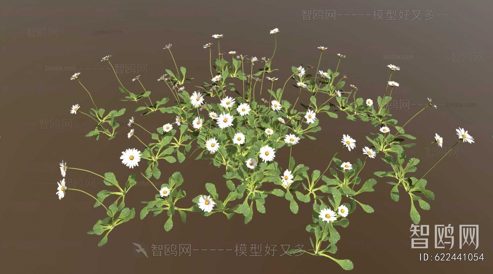 Modern Flowers And Grass