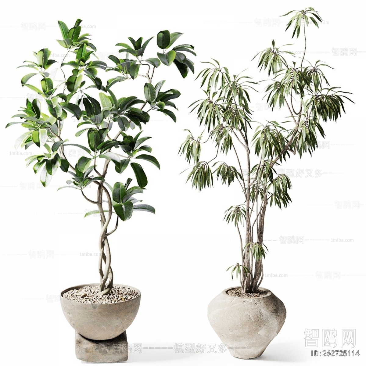 Modern Ground Green Plant Potted Plants