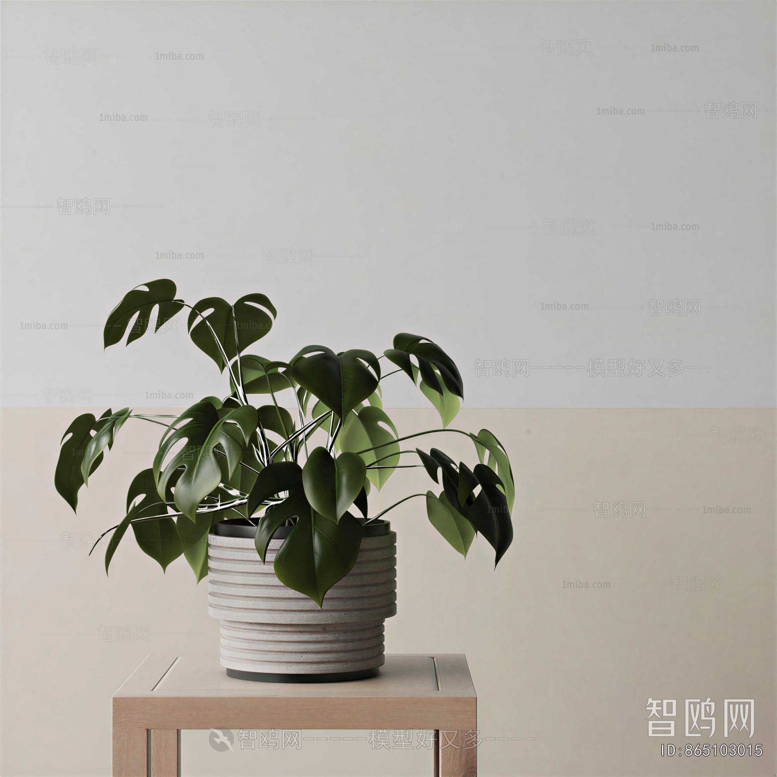 Modern Potted Green Plant