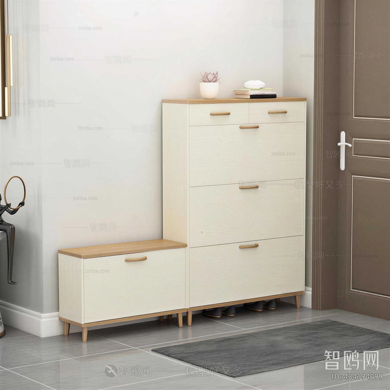 Modern Shoe Cabinet
