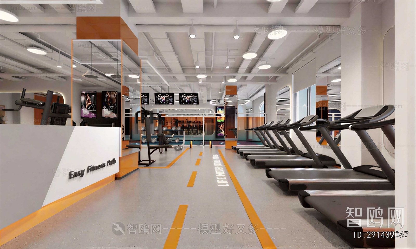 Modern Gym