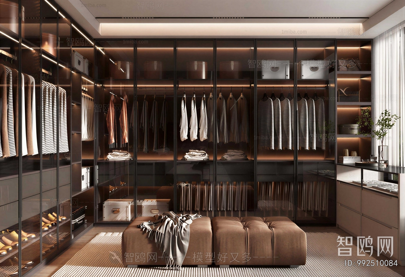 Modern Clothes Storage Area