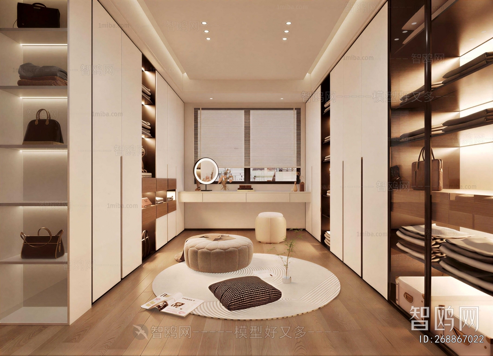 Modern Clothes Storage Area