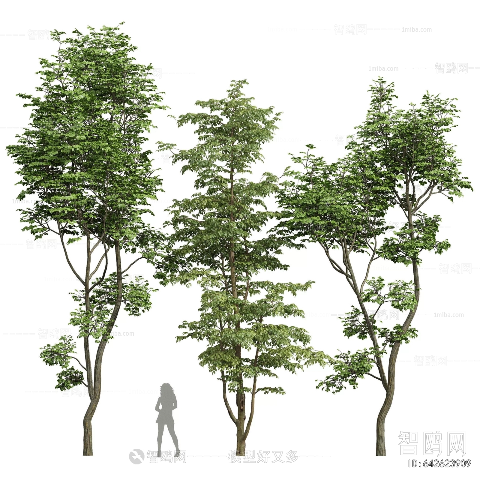 Modern Tree