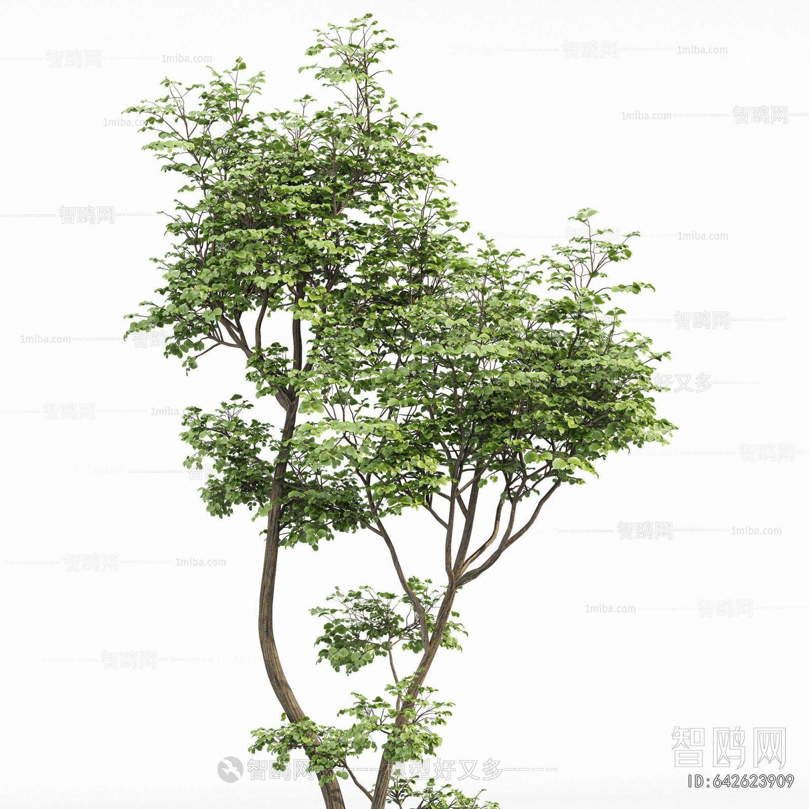 Modern Tree