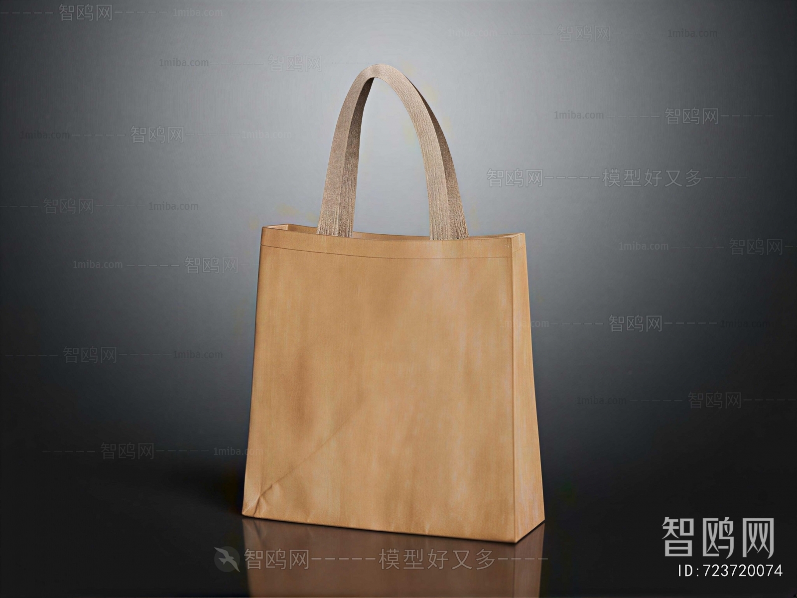 Modern Lady's Bag