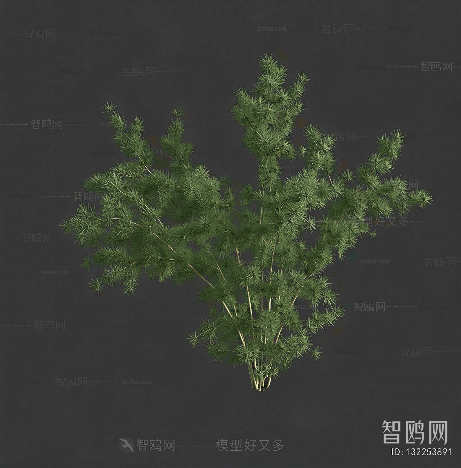 Modern Shrubbery