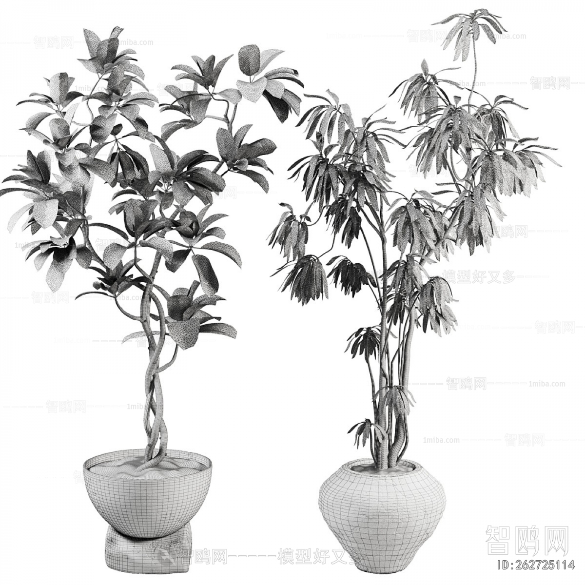 Modern Ground Green Plant Potted Plants