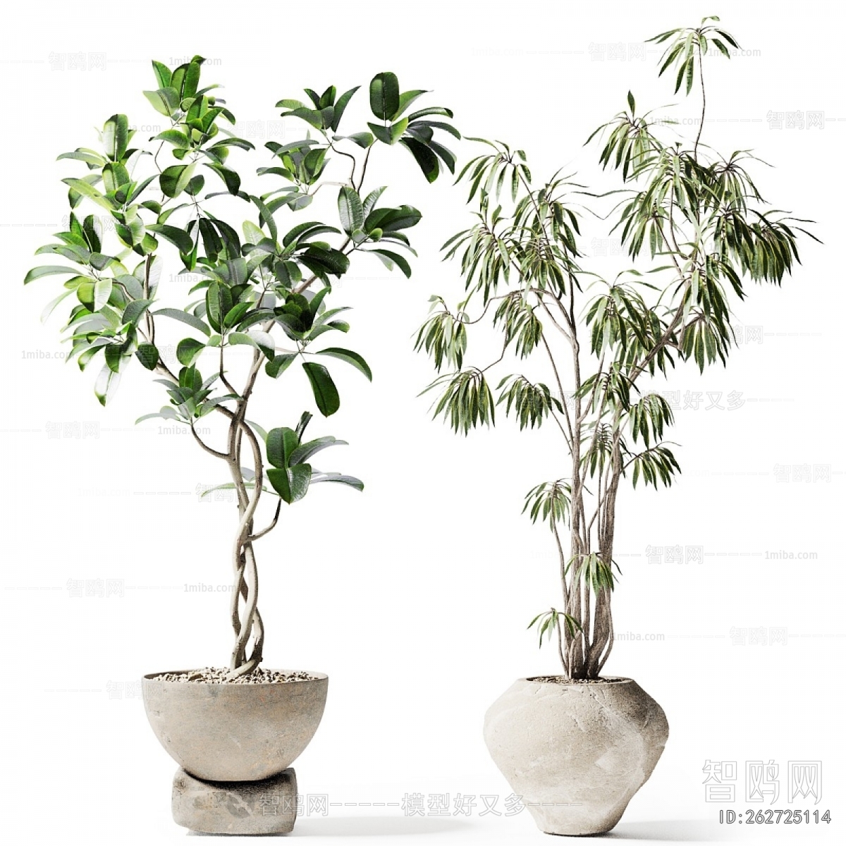 Modern Ground Green Plant Potted Plants