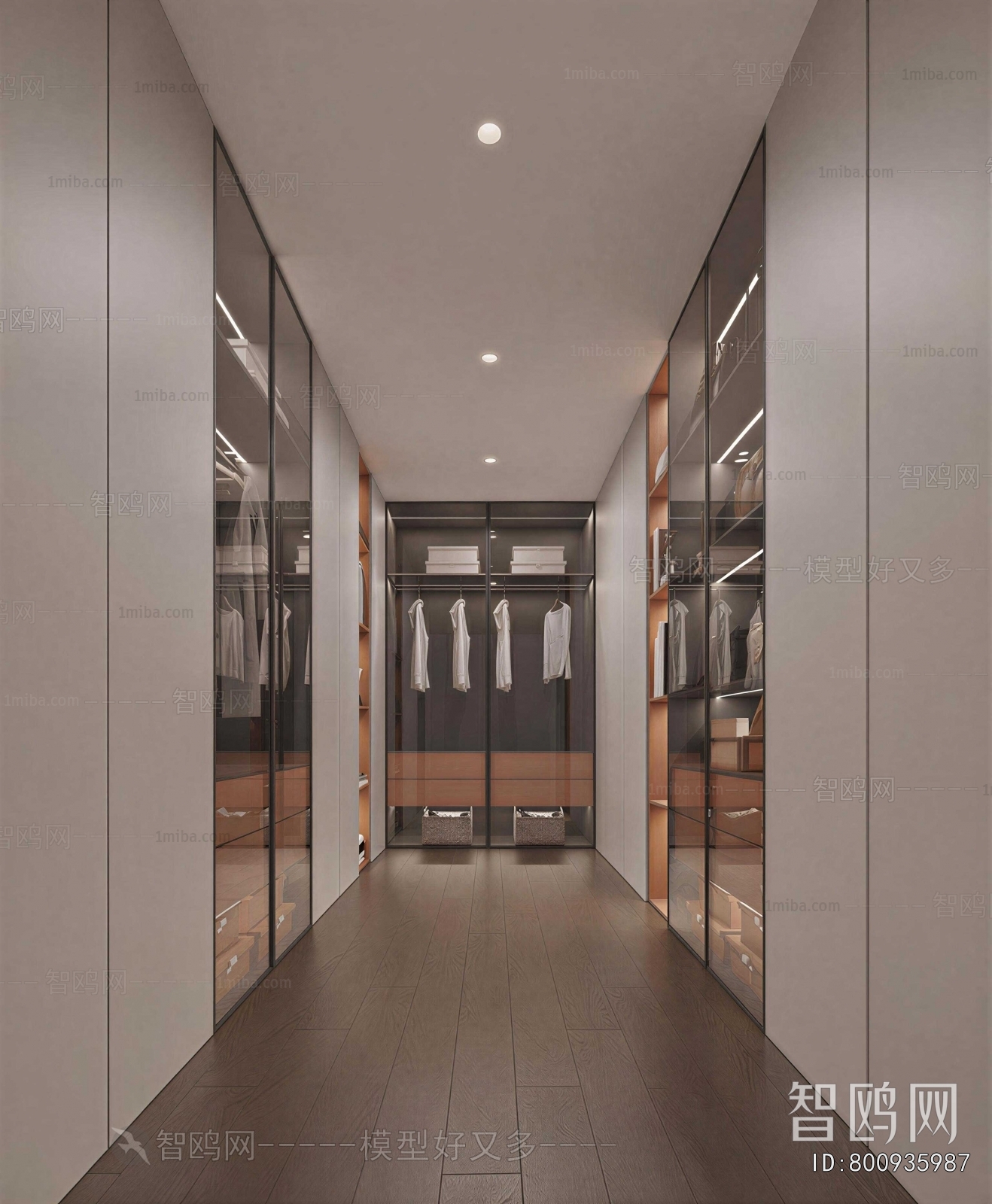 Modern Clothes Storage Area