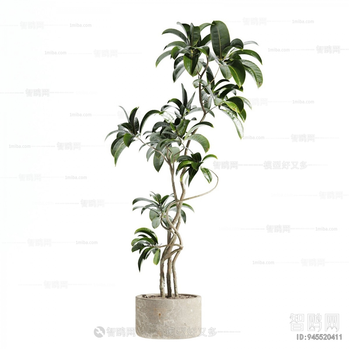 Modern Ground Green Plant Potted Plants