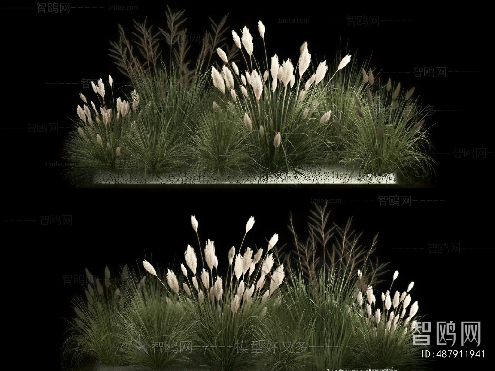 Modern Flowers And Grass